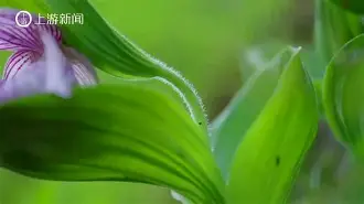 包含7.g6絗f揕稫秉驸?獻?\蘑杓8逷"?xV攛##?^的词条-爱游戏ayx体育电竞