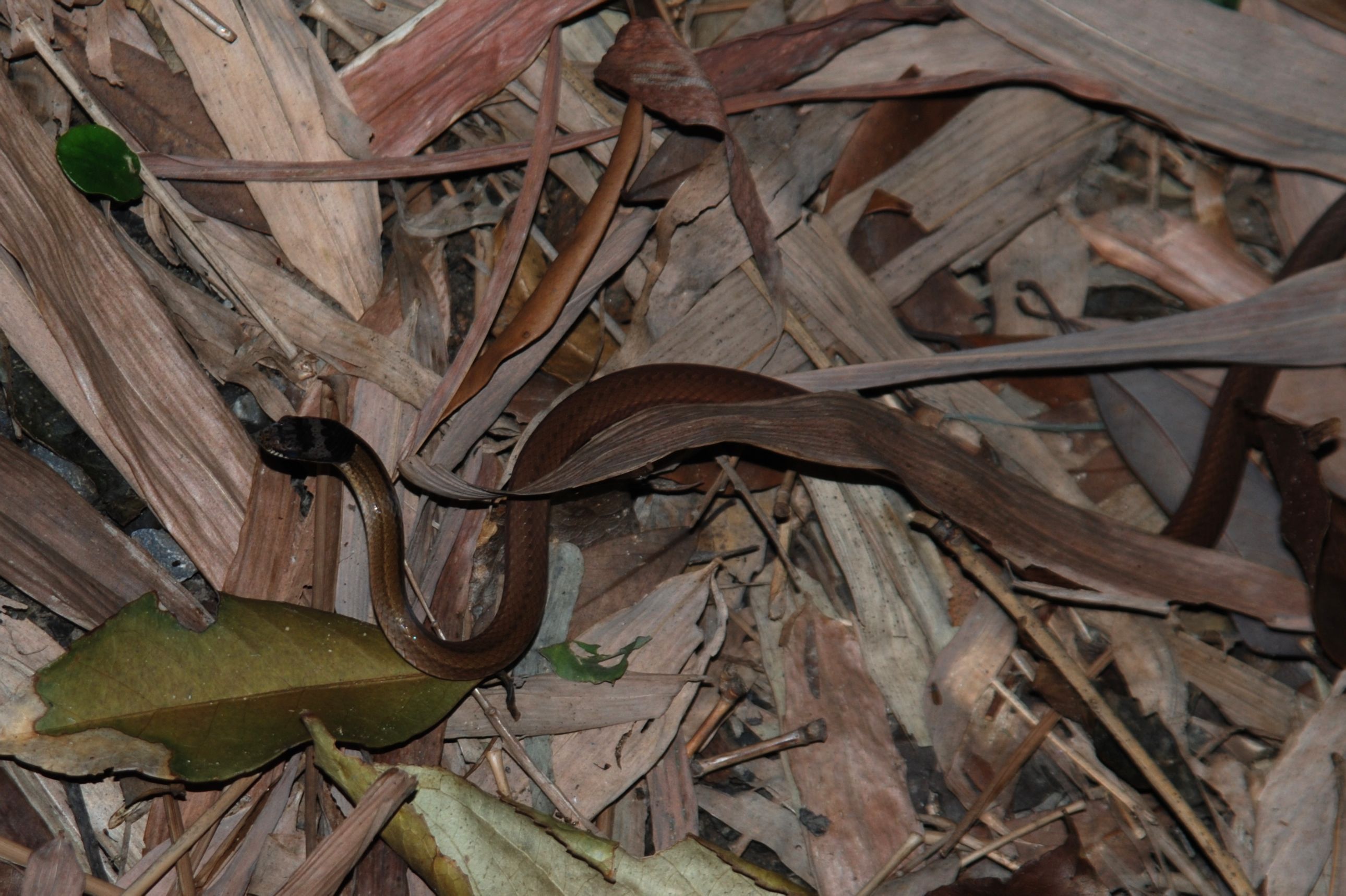 筷莱蠃蟭连轴转夺郝-爱游戏ayx体育电竞